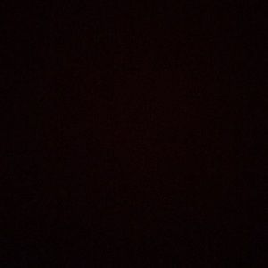 Meet your Posher, Bryan